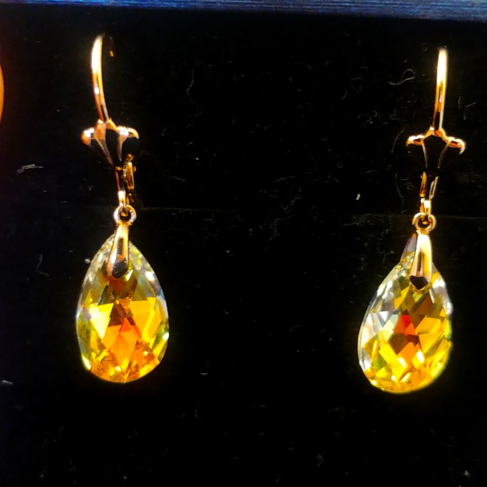 Earings! Brand NEW! Never worn!